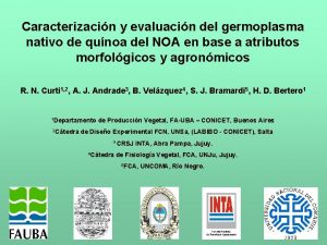 Caracterizacin y evaluacin del germoplasma nativo de qunoa