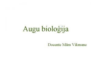 Augu bioloija Docente Mra Vikmane Augu un dzvnieku