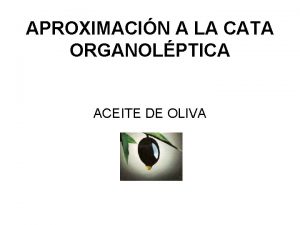 APROXIMACIN A LA CATA ORGANOLPTICA ACEITE DE OLIVA