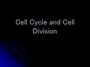 Cell Cycle and Cell Division Prokaryotic Cells Bacteria