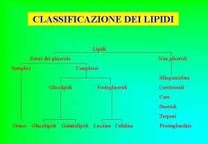 CLASSIFICAZIONE DEI LIPIDI Lipidi Esteri del glicerolo Semplici