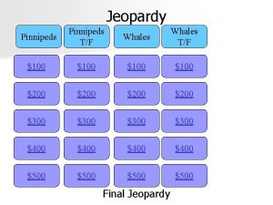 Jeopardy Pinnipeds TF Whales TF 100 200 300