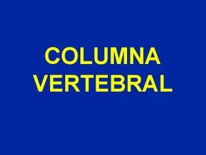 COLUMNA VERTEBRAL RECUERDO ANATOMICO Generalidades 3 curvaturas Lordosis