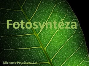 Fotosyntza Michaela Polakov 1 A Fotosyntza biochemick proces