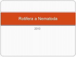 Rotifera a Nematoda 2010 Spolen znaky vnk a