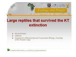 Large reptiles that survived the KT extinction l