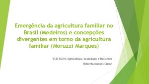 Emergncia da agricultura familiar no Brasil Medeiros e