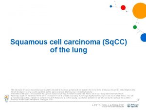 Squamous cell carcinoma Sq CC of the lung
