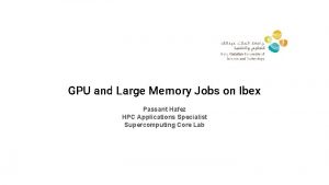 GPU and Large Memory Jobs on Ibex Passant