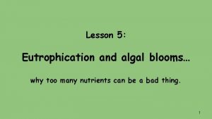 Lesson 5 Eutrophication and algal blooms why too