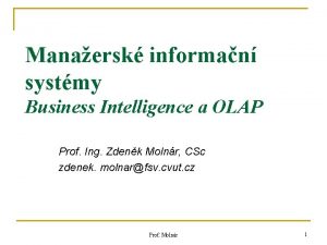 Manaersk informan systmy Business Intelligence a OLAP Prof