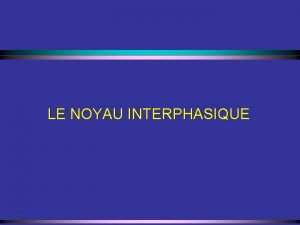 LE NOYAU INTERPHASIQUE Plan de prsentation Constituants structuraux