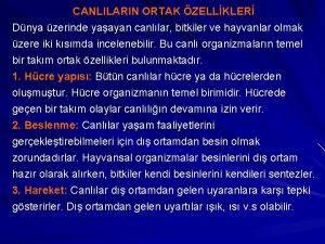 CANLILARIN ORTAK ZELLKLER Dnya zerinde yaayan canllar bitkiler