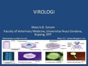 VIROLOGI Maxs U E Sanam Faculty of Veterinary
