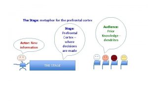 The Stage metaphor for the prefrontal cortex Stage