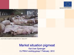 group housing of pregnant sows as applicable from