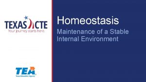 Homeostasis Maintenance of a Stable Internal Environment Copyright