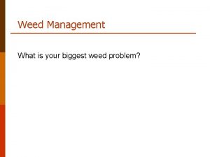 Weed Management What is your biggest weed problem