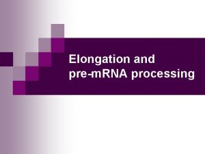 Elongation and prem RNA processing MBV 4230 Introduction