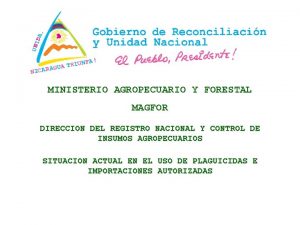 MINISTERIO AGROPECUARIO Y FORESTAL MAGFOR DIRECCION DEL REGISTRO
