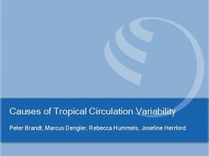 Causes of Tropical Circulation Variability Peter Brandt Marcus