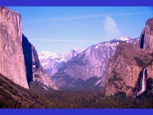 Vegetation Types in Yosemite Valley Vegetation Type Mixed