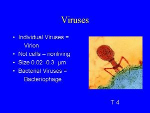 Viruses Individual Viruses Virion Not cells nonliving Size