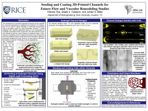 Seeding and Coating 3 DPrinted Channels for Future
