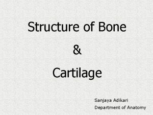 Structure of Bone Cartilage Sanjaya Adikari Department of