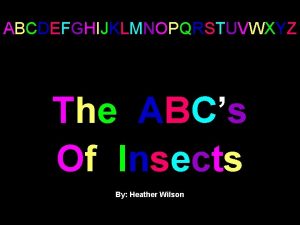 ABCDEFGHIJKLMNOPQRSTUVWXYZ The ABCs Of Insects By Heather Wilson