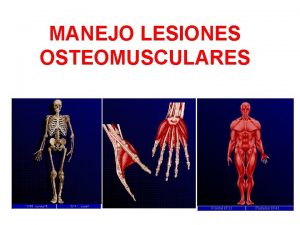 MANEJO LESIONES OSTEOMUSCULARES SISTEMA MUSCULESQUELTICO El Sistema Musculo