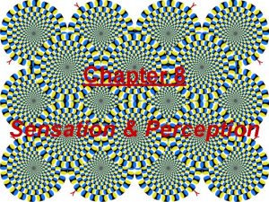 Chapter 8 Sensation Perception Sensation Perception Sensation What