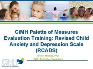 Ci MH Palette of Measures Evaluation Training Revised