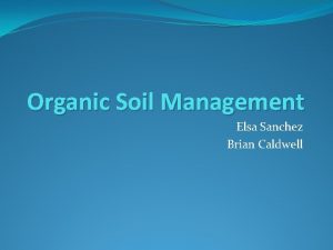 Organic Soil Management Elsa Sanchez Brian Caldwell Outline