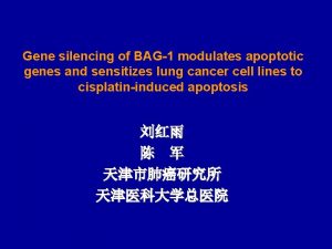 Gene silencing of BAG1 modulates apoptotic genes and