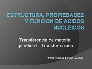 ESTRUCTURA PROPIEDADES Y FUNCIN DE CIDOS NUCLEICOS Transferencia