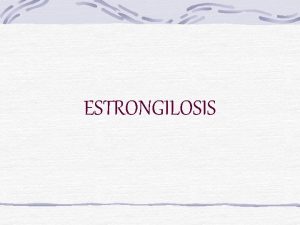 ESTRONGILOSIS DEFINICIN ETIOLOGA PEQUEOS STRONGYLUS Triodontophorus serratus Oesophagodontus