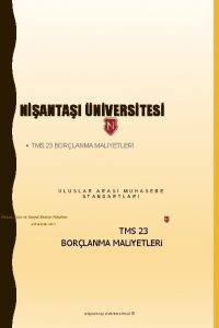 NANTAI NVERSTES TMS 23 BORLANMA MALYETLER U L