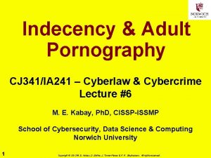 Indecency Adult Pornography CJ 341IA 241 Cyberlaw Cybercrime