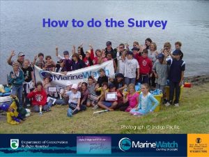 How to do the Survey Photograph Indigo Pacific
