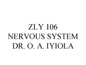 ZLY 106 NERVOUS SYSTEM DR O A IYIOLA