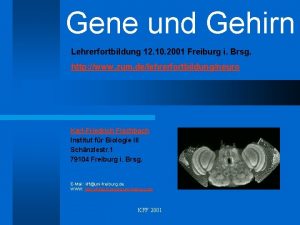 Gene und Gehirn Lehrerfortbildung 12 10 2001 Freiburg