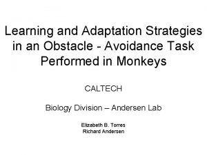 Learning and Adaptation Strategies in an Obstacle Avoidance