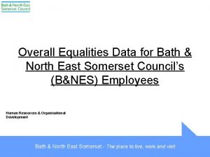 Overall Equalities Data for Bath North East Somerset