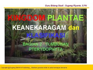 Guru Bidang Studi Sugeng Riyanto S Pd KINGDOM