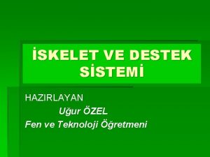 SKELET VE DESTEK SSTEM HAZIRLAYAN Uur ZEL Fen