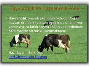 Hayvanclk Ve Hayvanclk Fonu Hayvanclk nemli ekonomik koludur