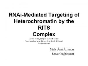 RNAiMediated Targeting of Heterochromatin by the RITS Complex