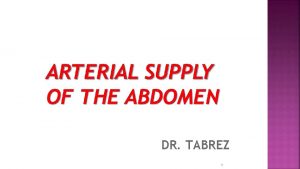 DR TABREZ 1 The abdominal aorta begins at