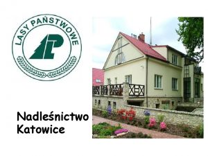Nadlenictwo Katowice Historia Nadlenictwo Katowice w obecnym ksztacie
